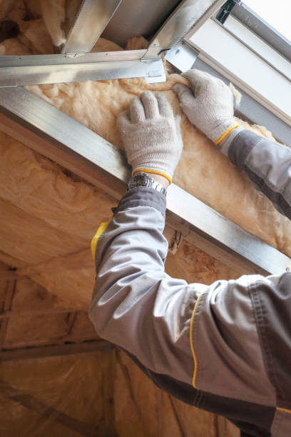 Best Cellulose Insulation in Cottage Lake, WA
